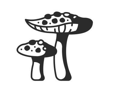 Mushroom Complex with Reishi, Lion's Mane, & Cordyceps