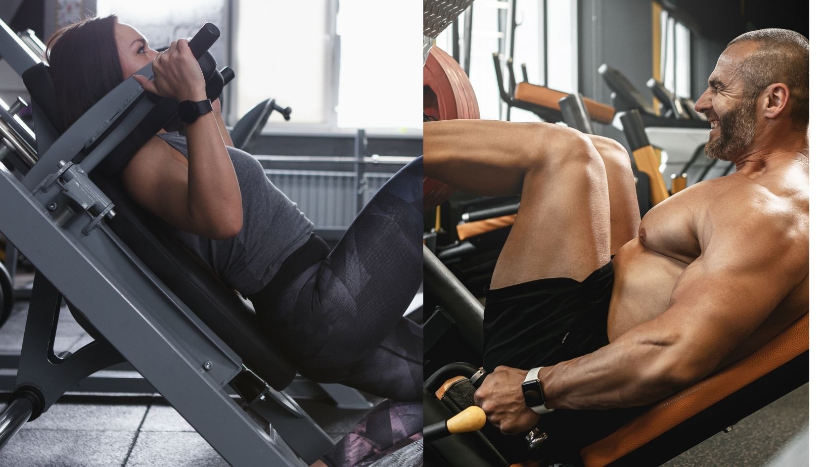 Bodybuilder Doing a Seated Leg Press Exercise and female using a hack squat machine in a Gym