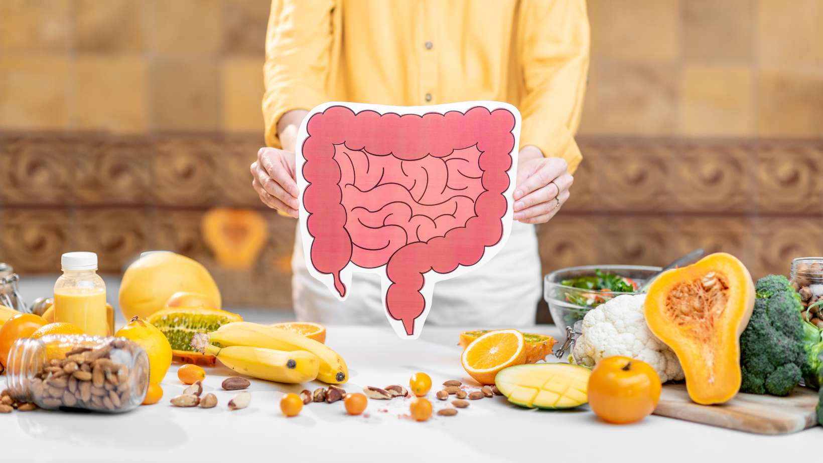 Bowel Model and Variety of Healthy Fresh Food