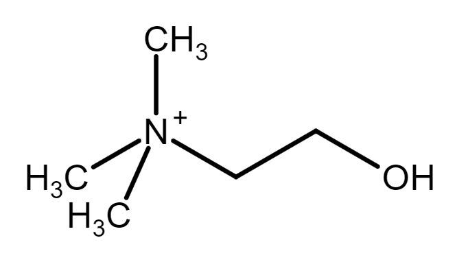 choline chemical structure