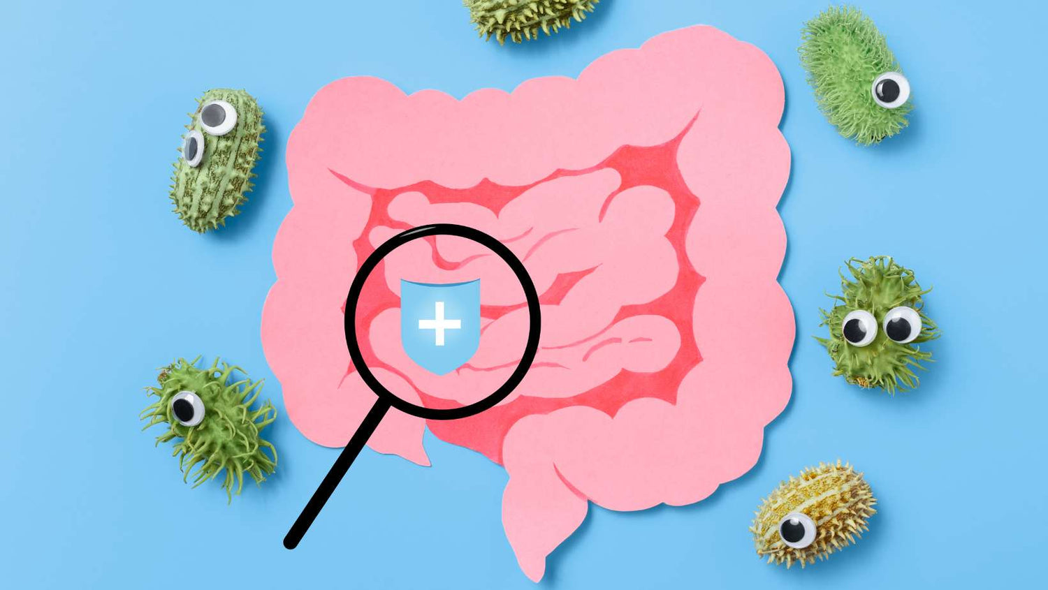 Decorative intestine and magnifying glass. The concept of probiotics and prebiotics for the microbiome and protection intestine from bad bacteria