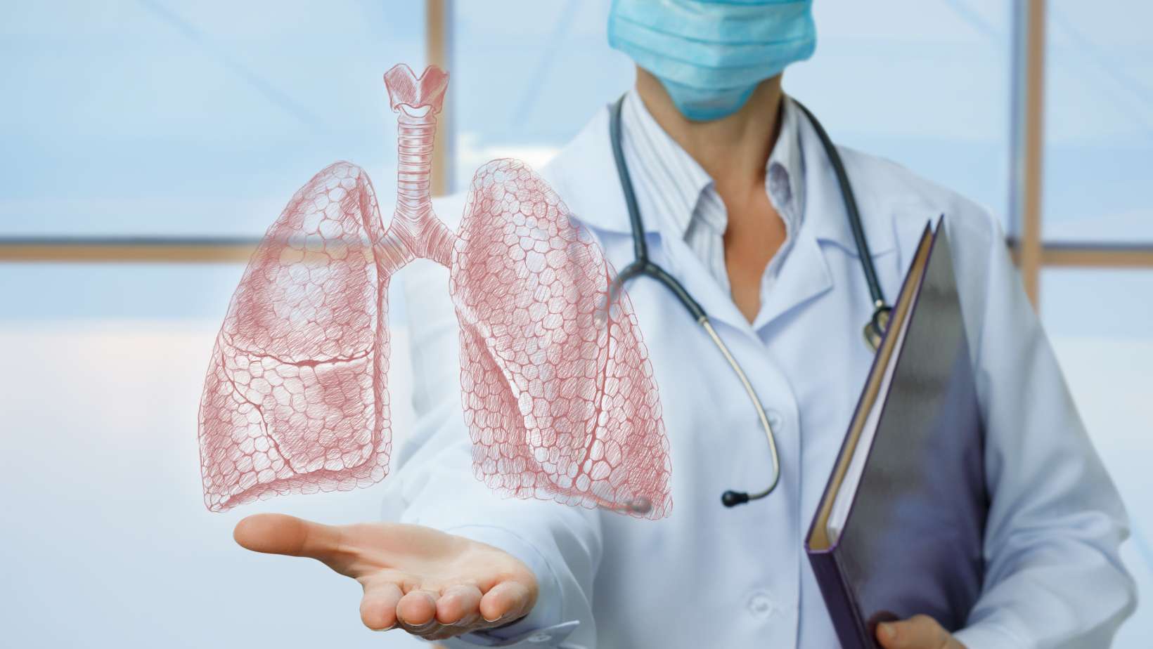 Doctor shows human lungs