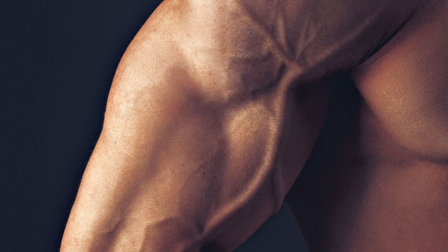 Fitness man background shoulder biceps pectoral muscles triceps