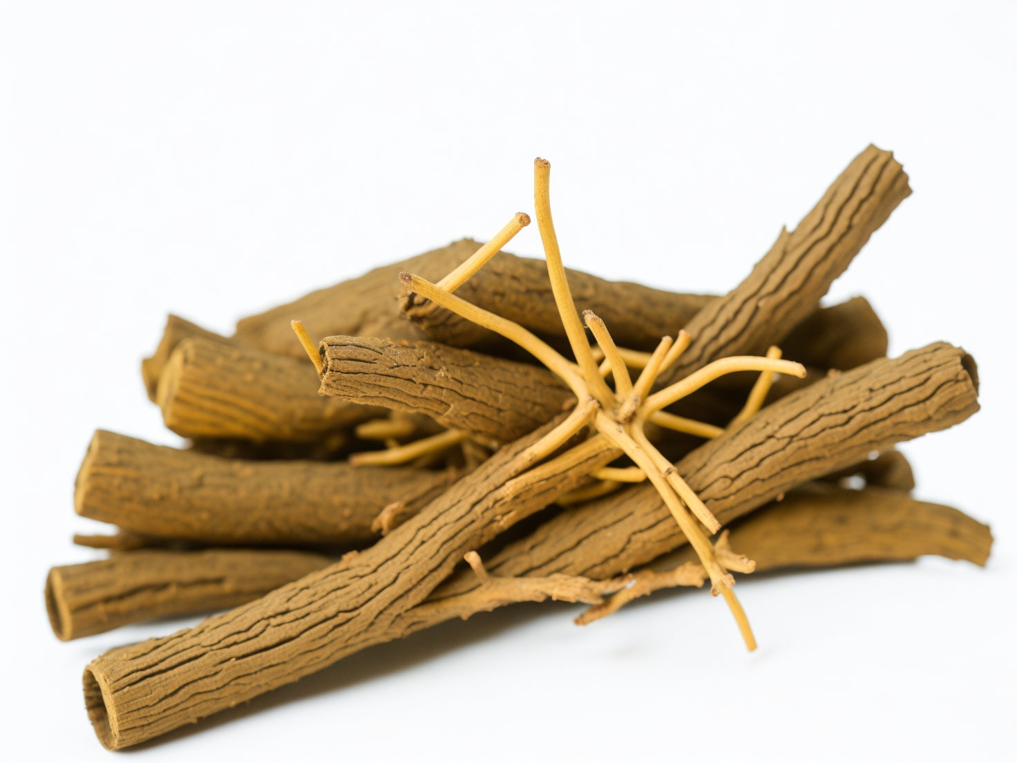 A close-up of a licorice root in a white background