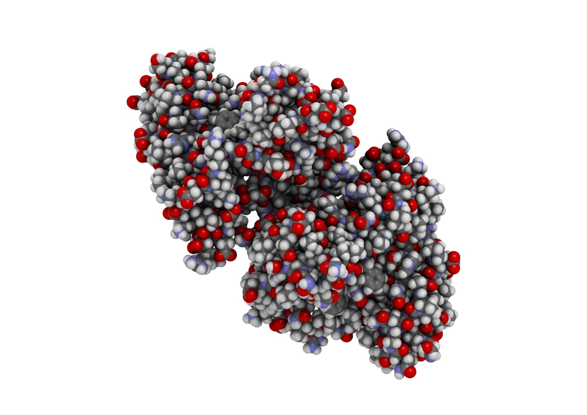 Myokine shown to promote conversion of white to brown fat tissue.