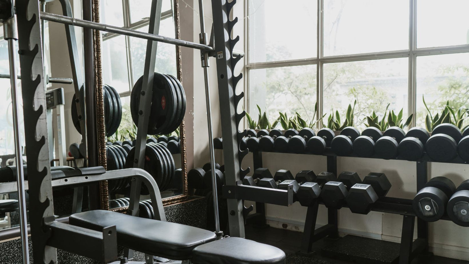 Smith machine and dumbbell equipment in the gym