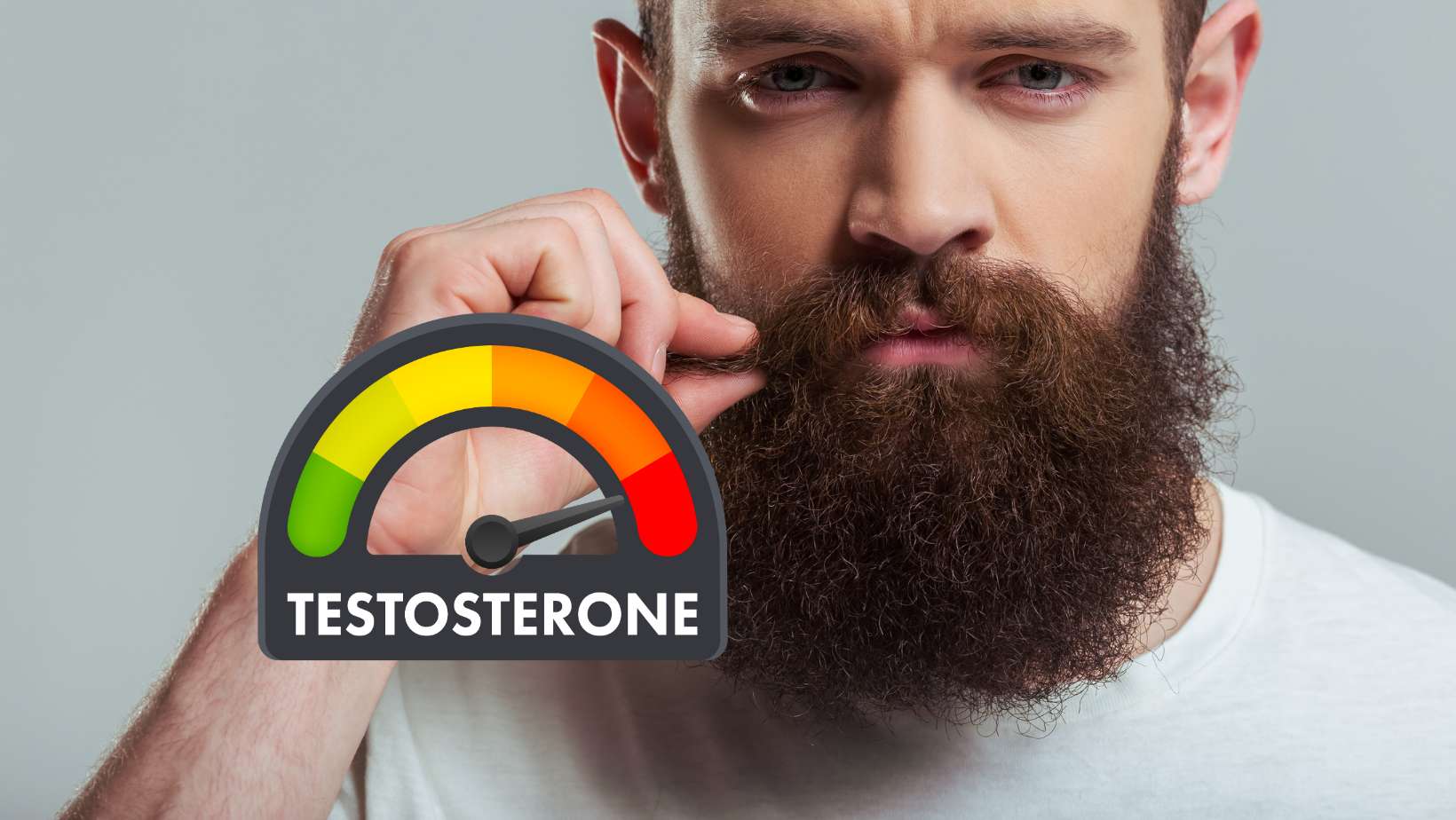 Young bearded man and a Testosterone level metering scale
