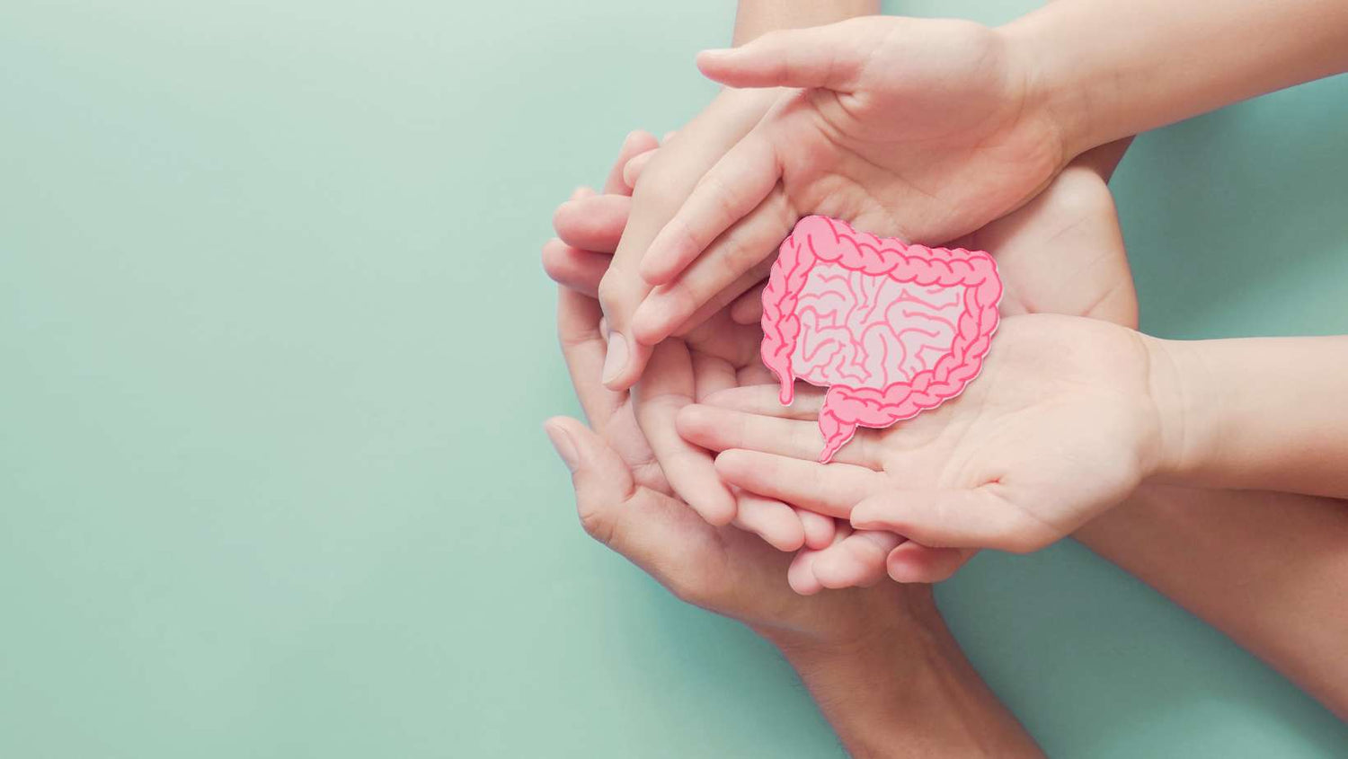 adult and child hands holding intestine shape, healthy bowel degestion, leaky gut, probiotics and prebotics for gut health, colon, gastric, stomach cancer concept