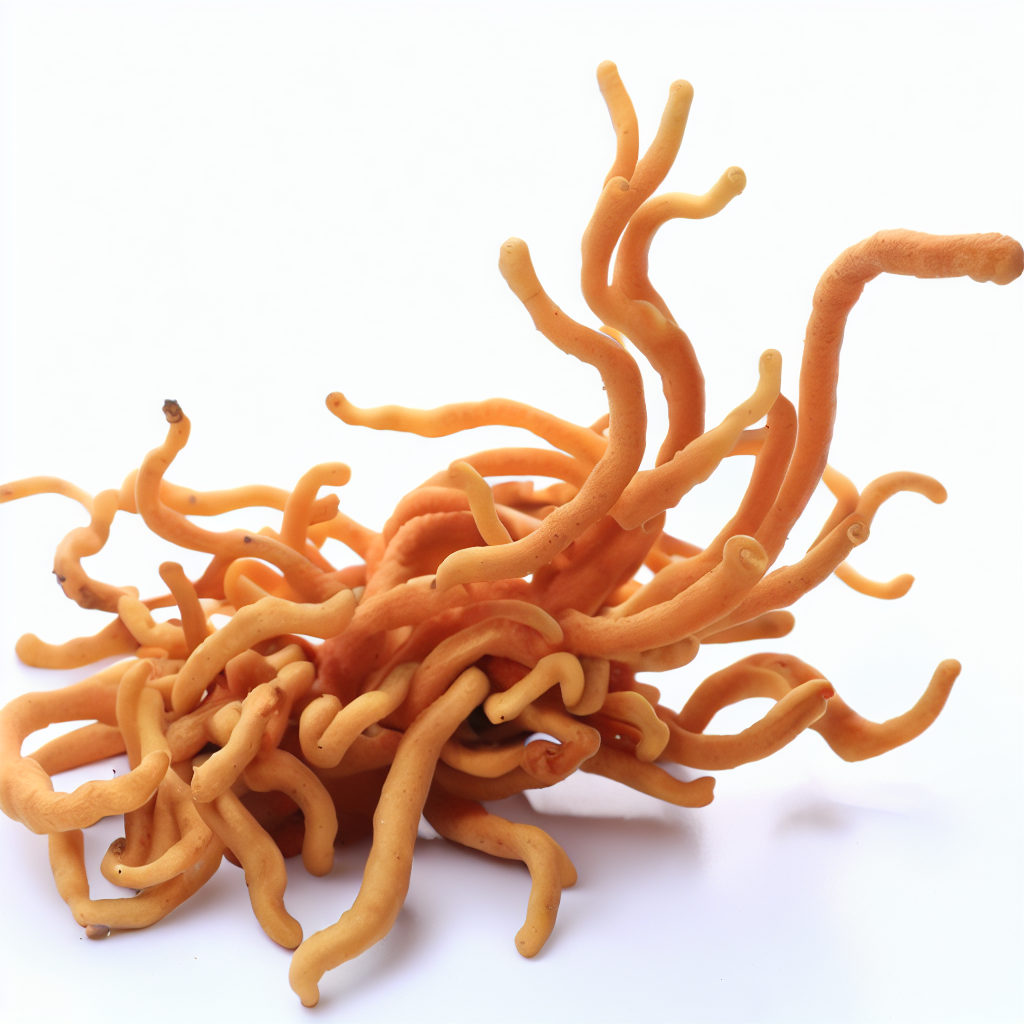 a close-up picture of cordyceps