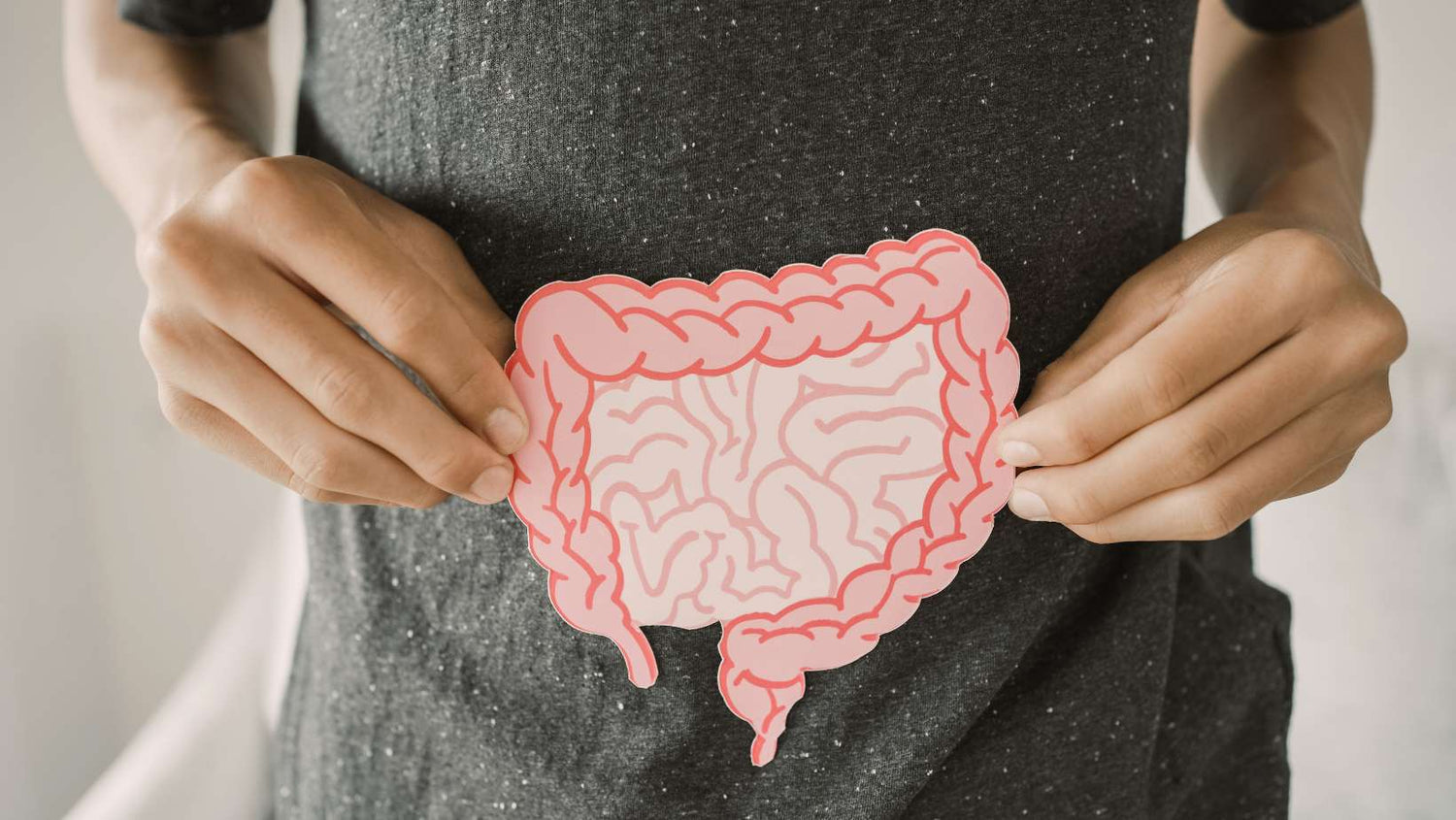 hands holding intestine shape, healthy bowel digestion, leaky gut, probiotics and prebiotics for gut health, colon, gastric, stomach cancer concept