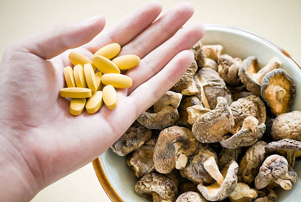 Mushroom Nootropics