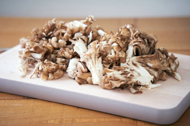 Maitake Mushroom